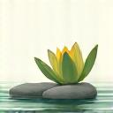 Icon Spa & Wellness